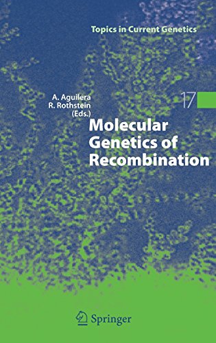 Molecular Genetics of Recombination (Topics in Current Genetics)