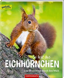 So lebt das Eichhörnchen: Eine Bilderreise durch den Wald (Nature Zoom)
