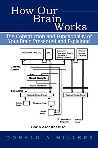 How Our Brain Works: The Construction And Functionality Of Your Brain Presented And Explained