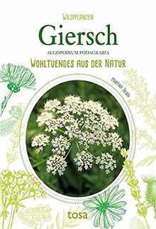 Giersch: Wohltuendes aus der Natur