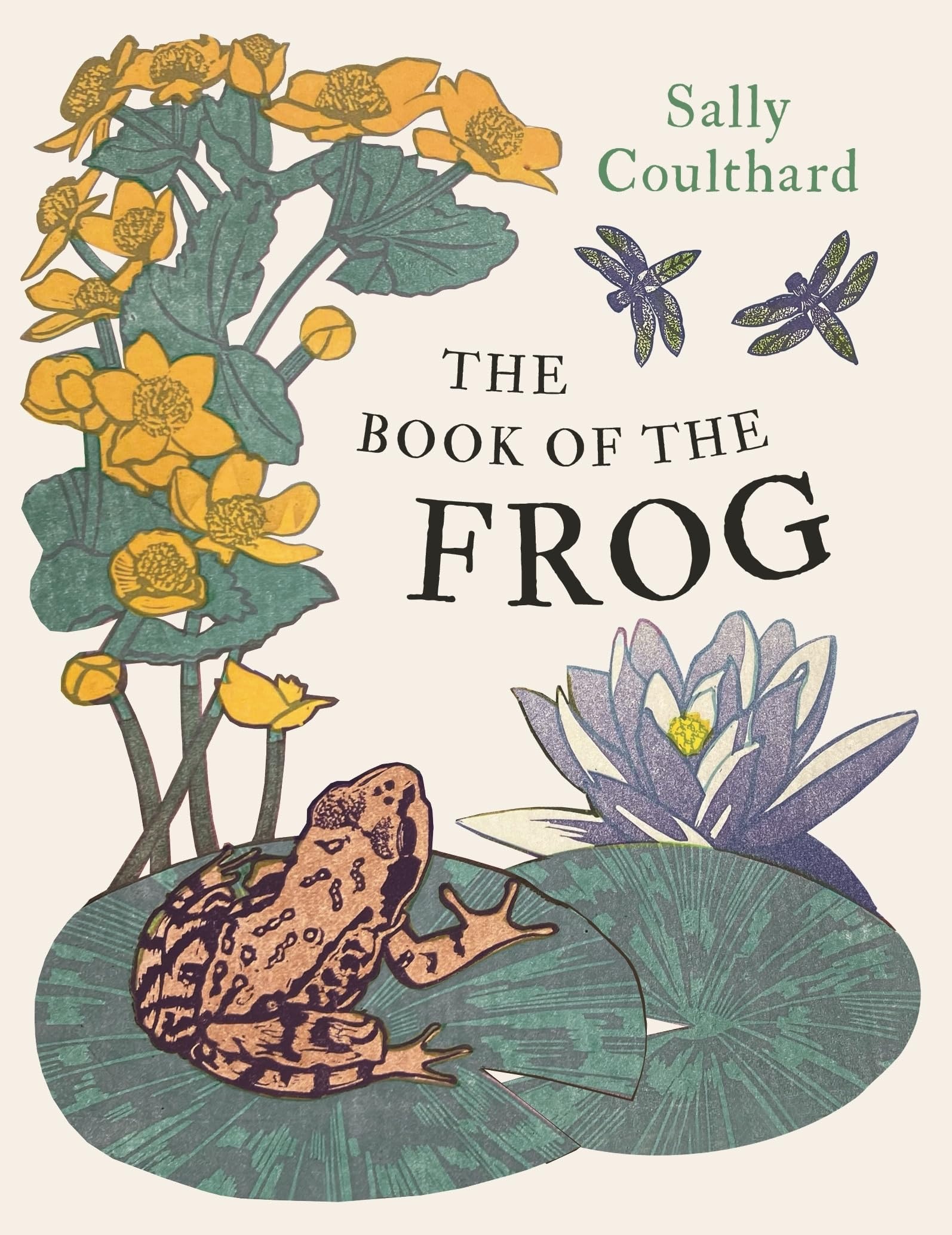 Sally Coulthard The Book Of The Frog