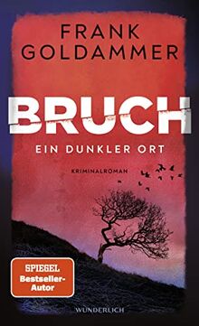 Bruch: Ein dunkler Ort (Felix Bruch, Band 1)
