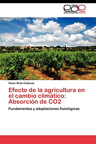 Efecto de la agricultura en el cambio climático: Absorción de CO2: Fundamentos y adaptaciones fisiológicas