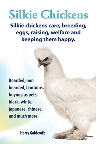 Harry Goldcroft . Silkie Chickens. Silkie Chickens Care, Breeding, Eggs, Raising, Welfare And Keeping Them Happy, Bearded, Non Bearded, Bantoms, Buying, As Pets, ...