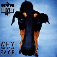 Why the Long Face von Big Country | CD | Zustand gut