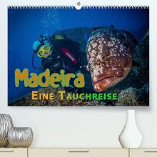Madeira, eine Tauchreise (Premium, hochwertiger DIN A2 Wandkalender 2023, Kunstdruck in Hochglanz)
