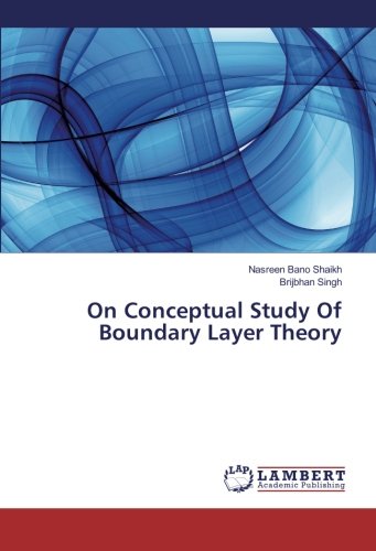 On Conceptual Study Of Boundary Layer Theory