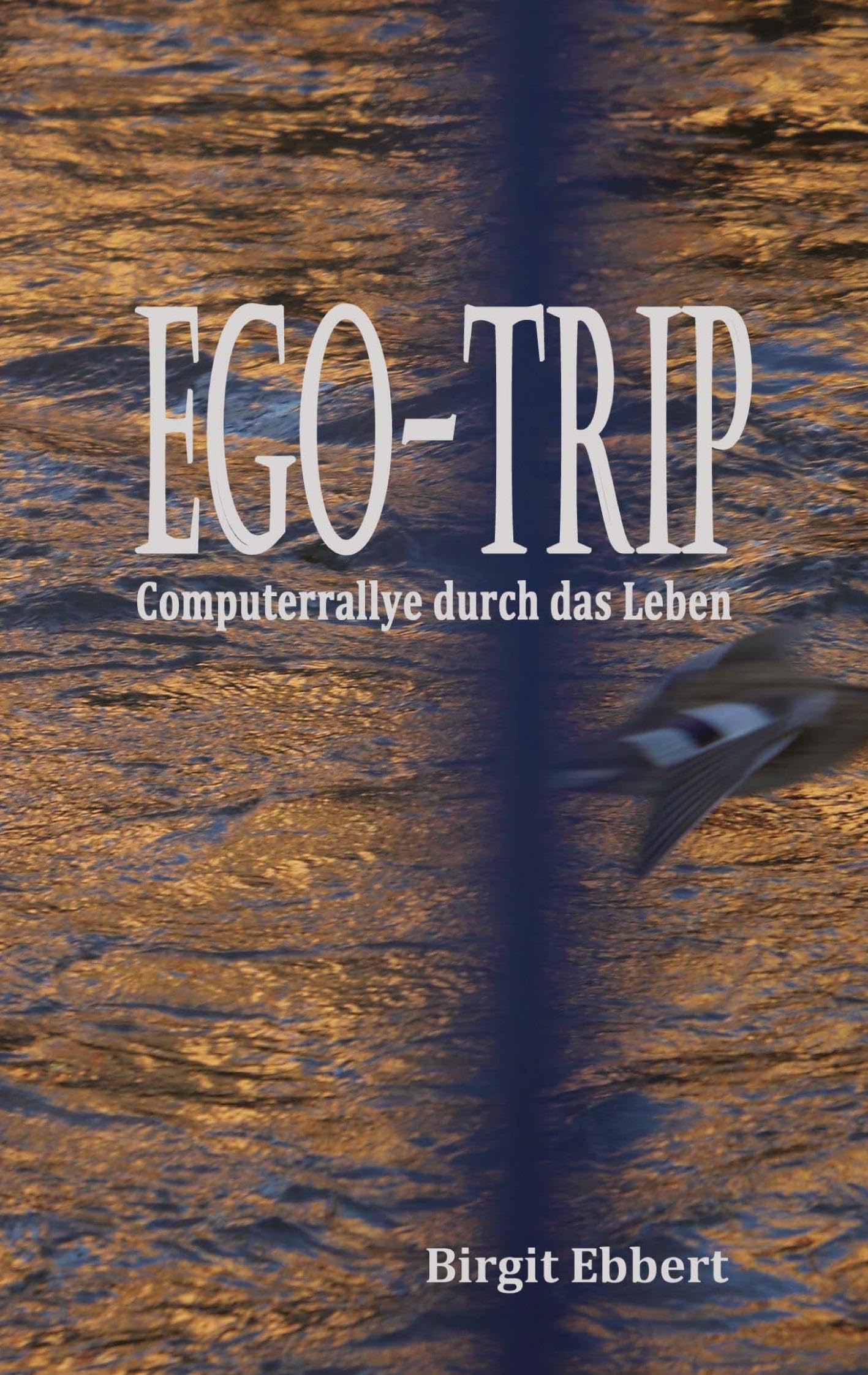 Ego-Trip: Computerrallye durch das Leben