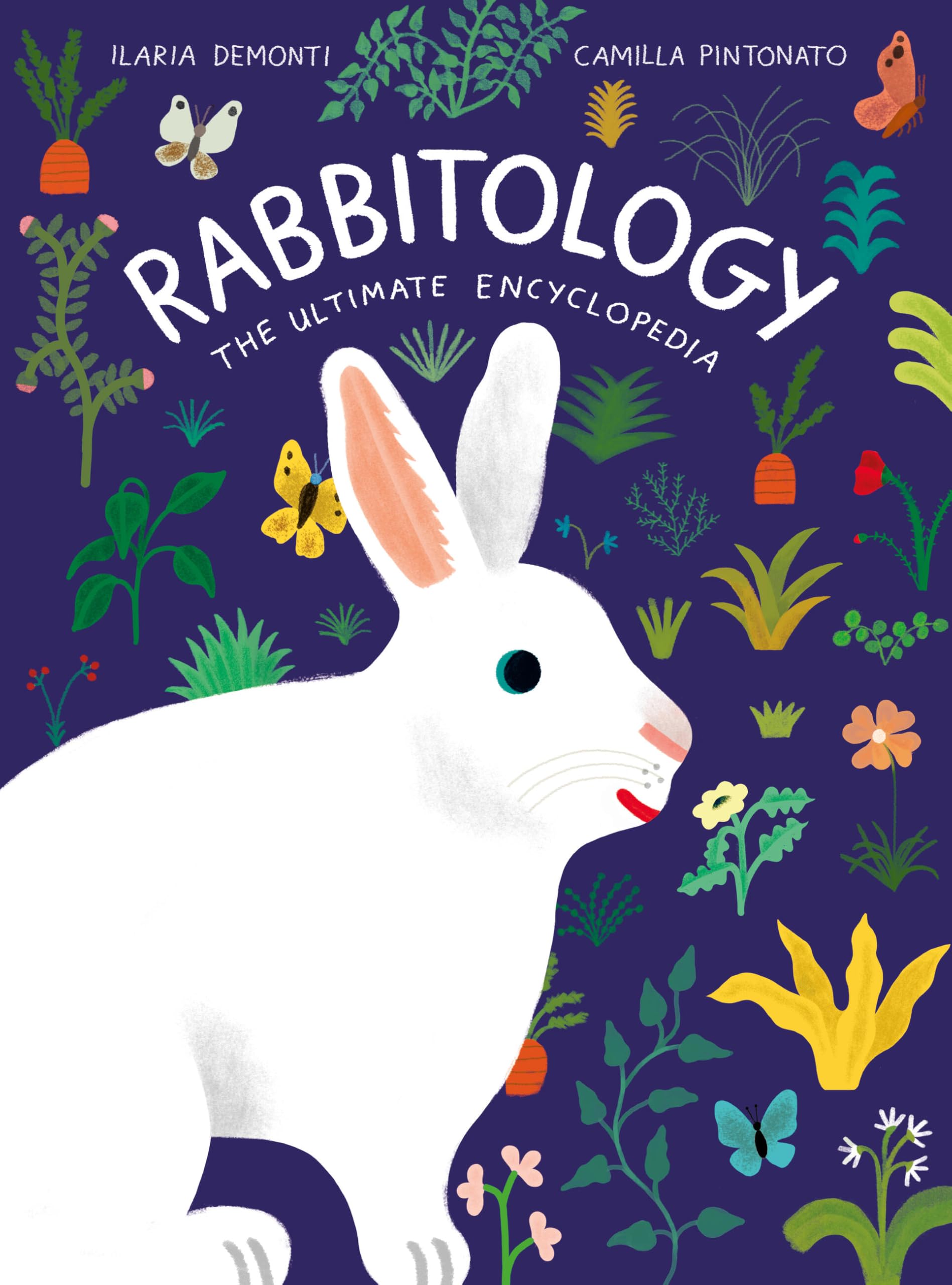 Ilaria Demonti Rabbitology