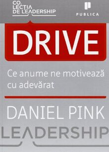 Drive. Ce Anume Ne Motiveaza Cu Adevarat