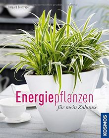 Energiepflanzen für mein Zuhause (Mein Garten)