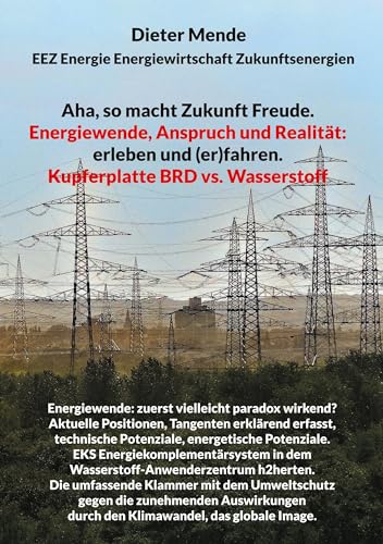Aha, so macht Zukunft Freude. Energiewende, Anspruch und Realität: erleben und (er)fahren.: Kupferplatte BRD vs. Wasserstoff