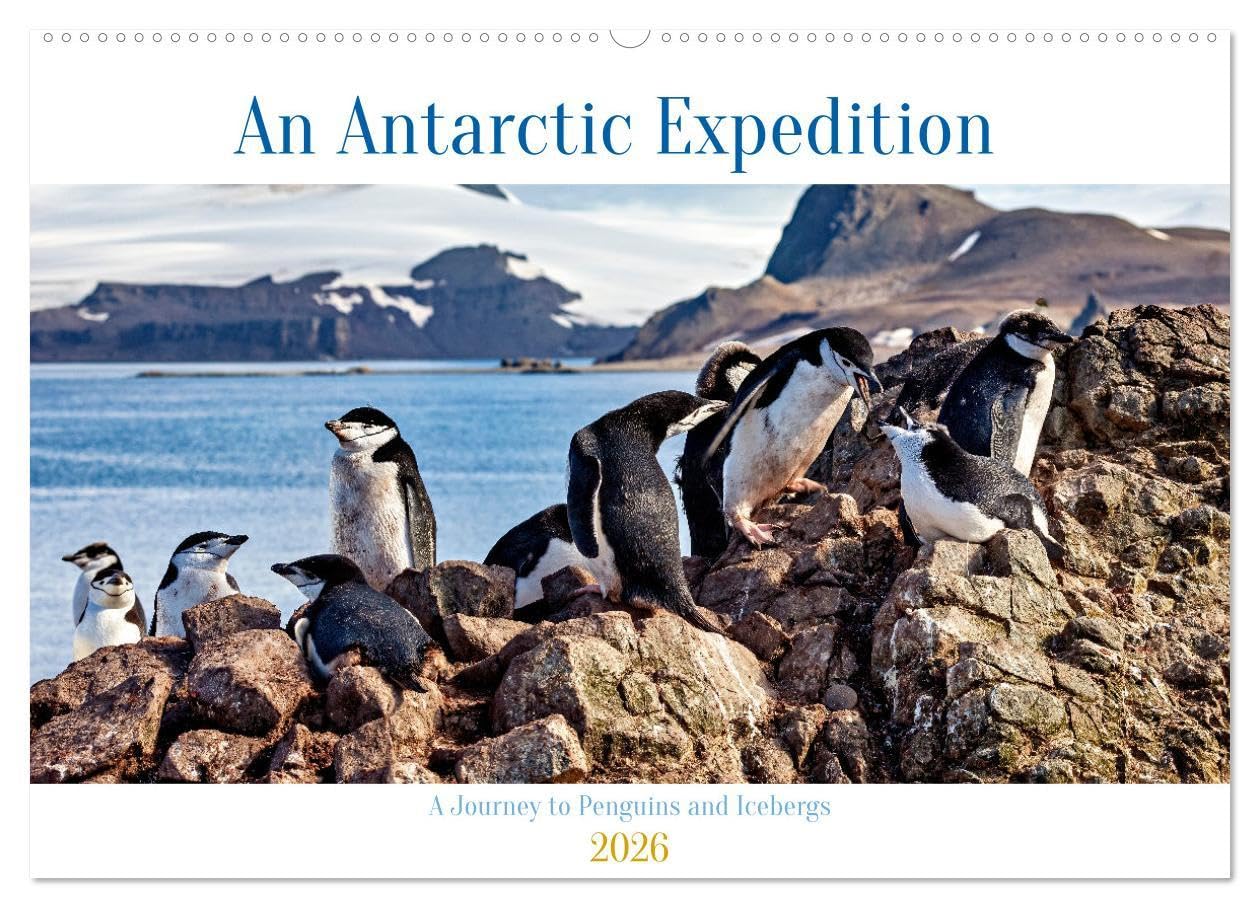An Antarctic Expedition (Wall Calendar 2026 DIN A2 landscape), CALVENDO 12 Month Wall Calendar: Visiting the icebergs, penguins and amazing landscapes of Antarctica