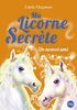 Ma licorne secrète. Vol. 6. Un nouvel ami