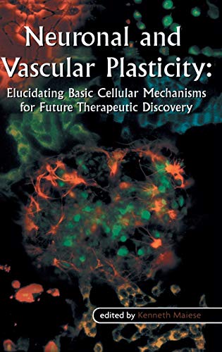 Neuronal and Vascular Plasticity: Elucidating Basic Cellular Mechanisms for Future Therapeutic Discovery