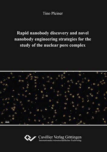 Rapid nanobody discovery and novel nanobody engineering strategies for the study of the nuclear pore complex