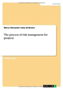 The process of risk management for projects