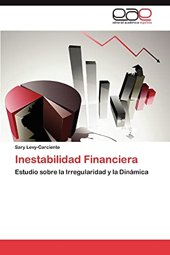 Inestabilidad Financiera: Estudio sobre la Irregularidad y la Dinámica