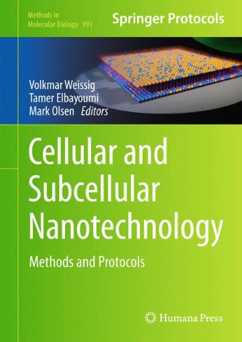 Cellular and Subcellular Nanotechnology: Methods and Protocols (Methods in Molecular Biology)