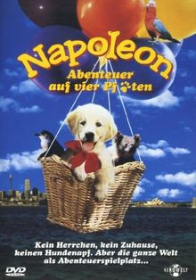 Napoleon - Abenteuer auf vier Pfoten von Mario Andreacchio | DVD | Zustand gut