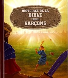 Histoires de la Bible pour garçons