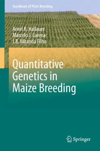 Quantitative Genetics in Maize Breeding (Handbook of Plant Breeding, 6, Band 6)
