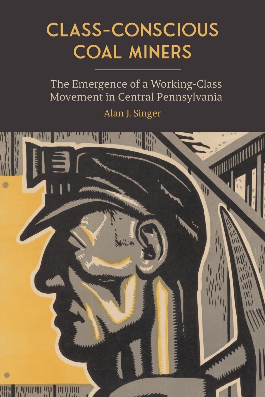Class-Conscious Coal Miners: The Emergence of a Working-Class Movement in Central Pennsylvania (Suny Labor Studies)
