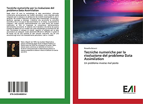 Tecniche numeriche per la risoluzione del problema Data Assimilation: Un problema inverso mal posto