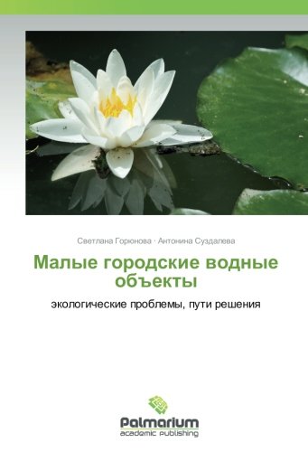 Малые городские водные объекты: экологические проблемы, пути решения