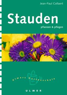 Stauden