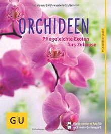 Orchideen: Pflegeleichte Exoten fürs Zuhause