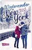 Winterzauber in New York: New Adult Romance über ein ungeplantes Wochenende mit einem Womanizer im verschneiten New York