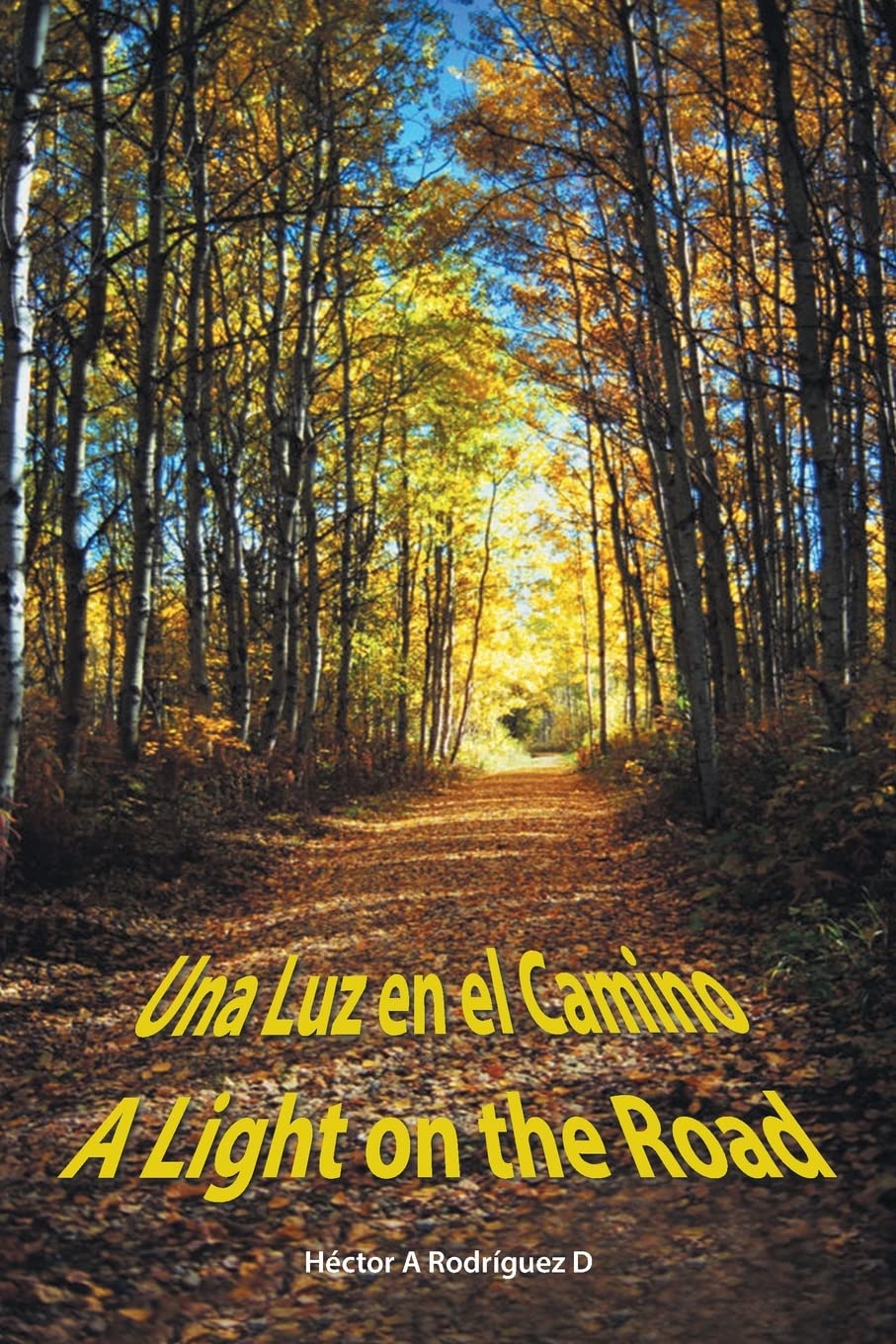 Una Luz en el Camino: A Light on the Road