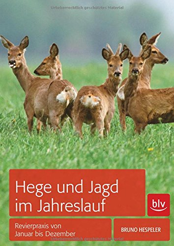 Hege und Jagd im Jahreslauf: Revierpraxis von Januar bis Dezember