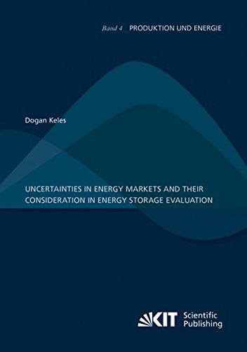 Uncertainties in energy markets and their consideration in energy storage evaluation (Produktion und Energie / Karlsruher Institut fuer Technologie, ... Institut fuer Umweltforschung)