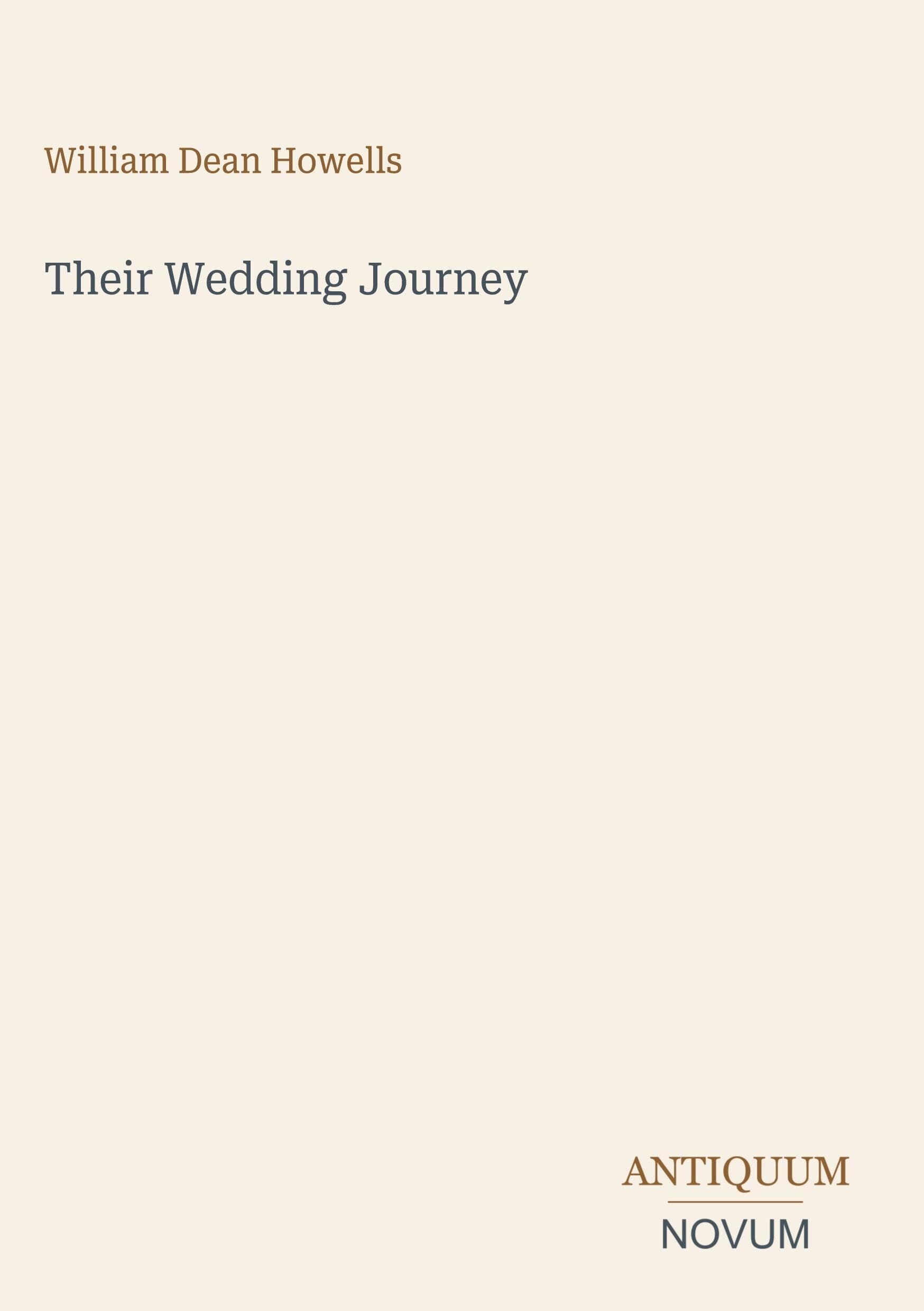 Their Wedding Journey