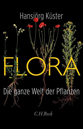 Flora - Hansjörg Küster Gebunden