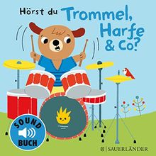Hörst du Trommel, Harfe & Co?