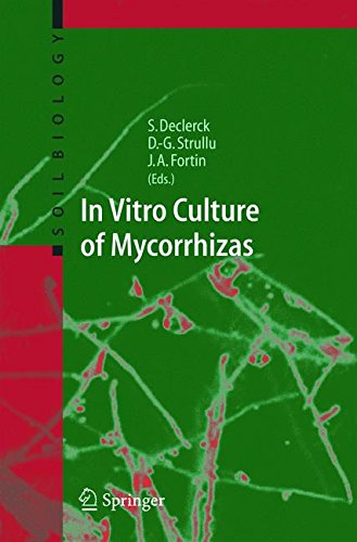 In Vitro Culture of Mycorrhizas (Soil Biology, Band 4)