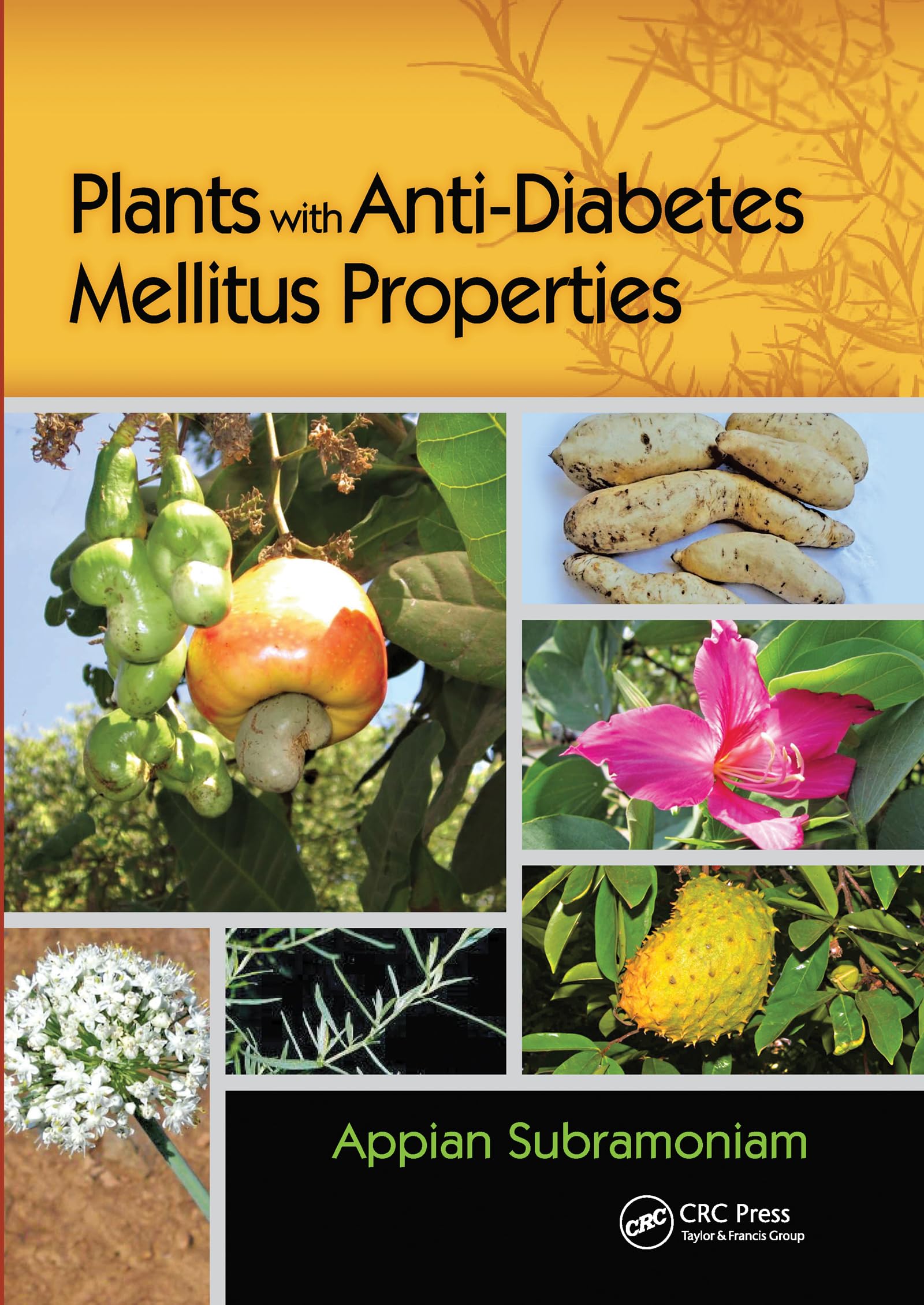 Plants with Anti-Diabetes Mellitus Properties