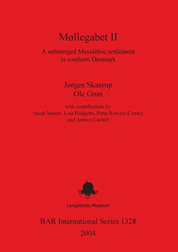 Møllegabet II: A submerged Mesolithic settlement in southern Denmark (BAR International Series, Band 1328)