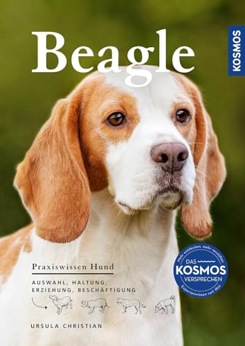 Beagle: Auswahl, Haltung, Erziehung, Beschäftigung