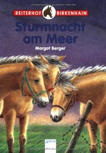 Reiterhof Birkenhain 05. Sturmnacht am Meer