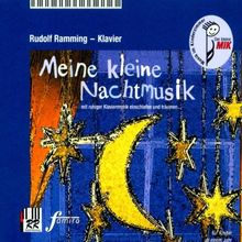 Meine Kleine Nachtmusik von Ramming,Rudolf | CD | Zustand gut