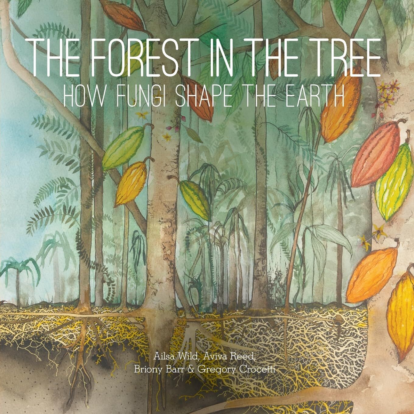 The Forest in the Tree
