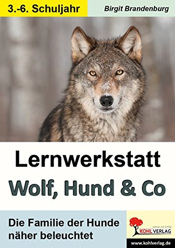 Lernwerkstatt Wolf, Hund & Co: Die Familie der Hunde näher beleuchtet