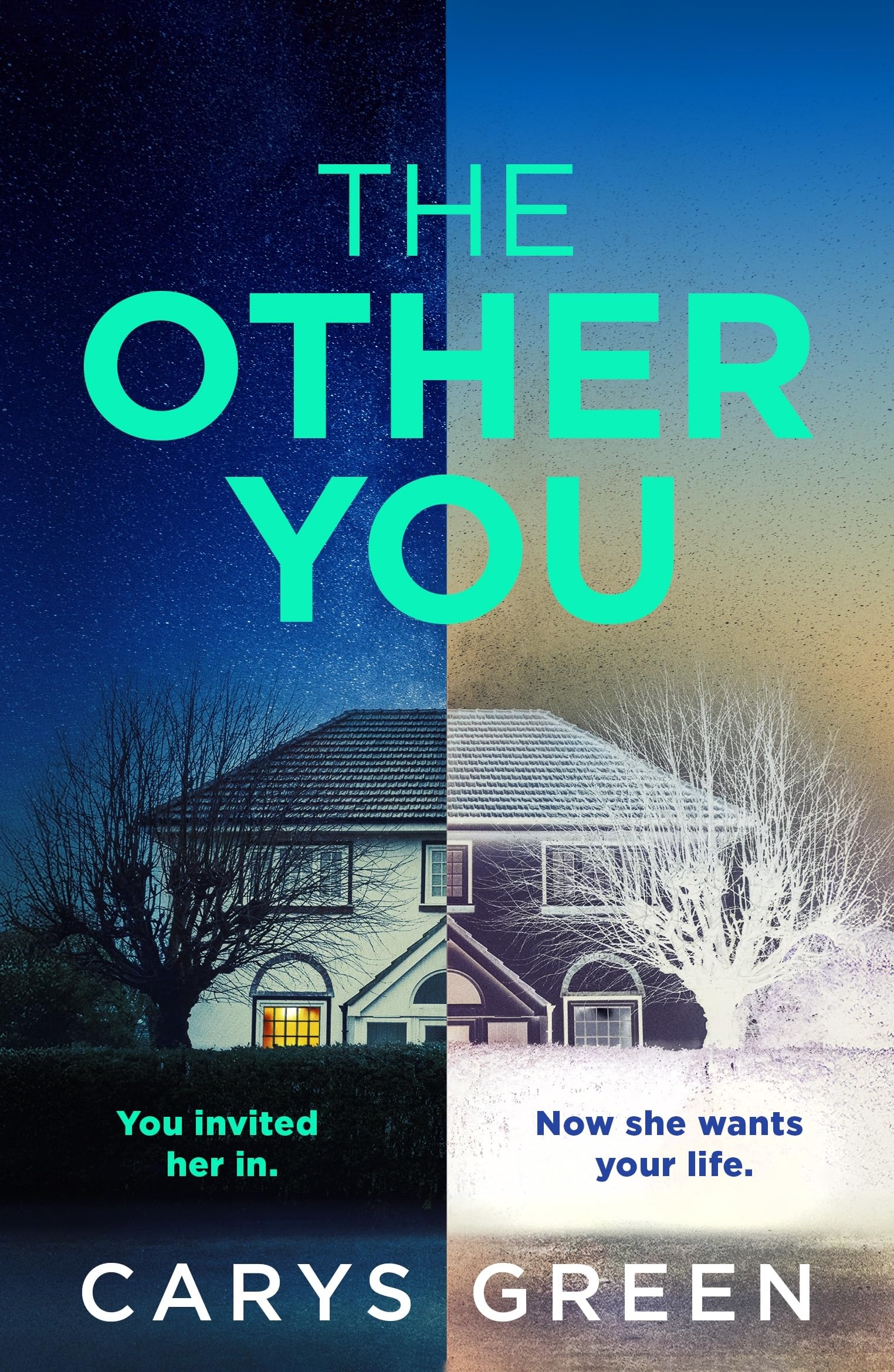 The Other You: The gripping new psychological thriller about the dark consequences of inviting a clone to be your nanny