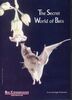 The Secret World of Bats