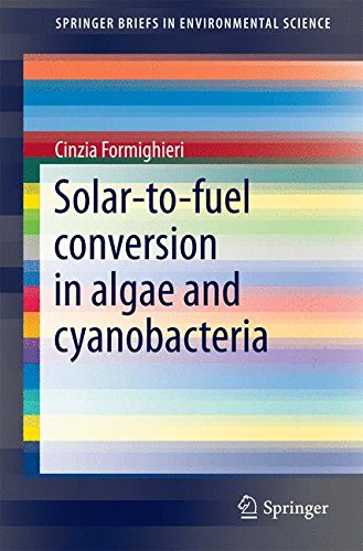 Solar-to-Fuel Conversion in Algae and Cyanobacteria (SpringerBriefs in Environmental Science)