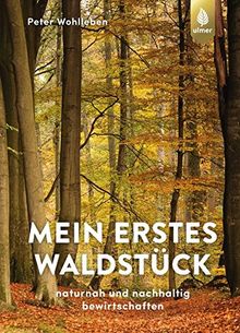 Mein erstes Waldstück: Naturnah und nachhaltig bewirtschaften